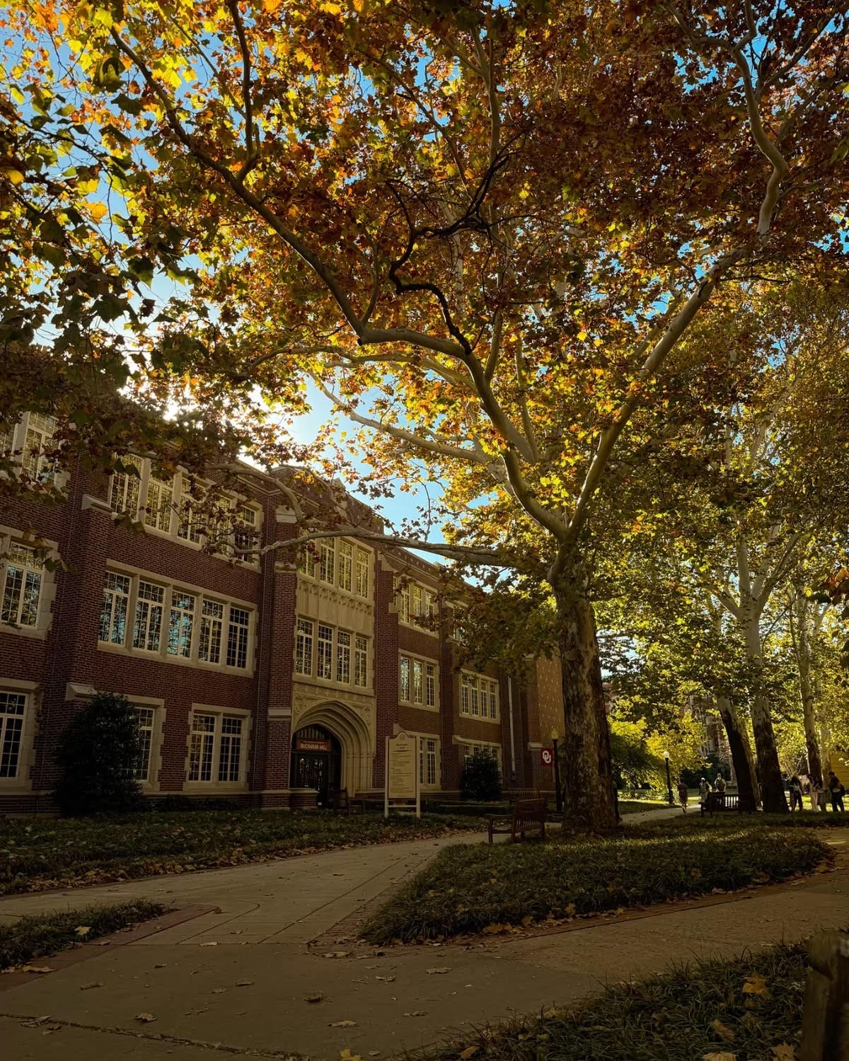 An autumn canopy above a brick college building and campus walkway